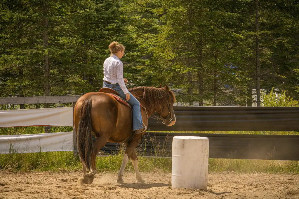 centre-deserto-equestre-grand-remous